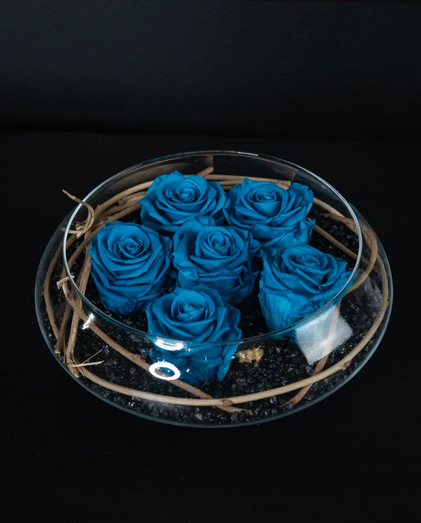 Blue roses in a glass container on a black background by bloombudz florist