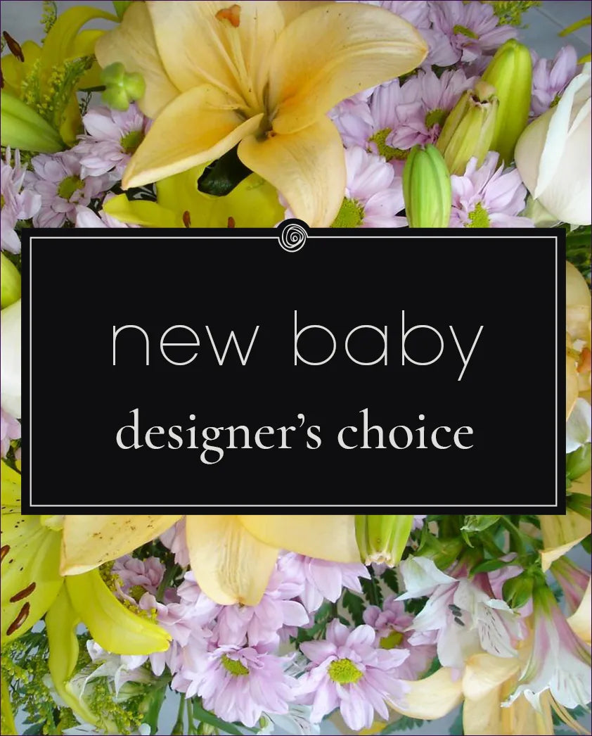 Designer's Choice - New Baby floral arrangement from bloombudz in Paragould, AR