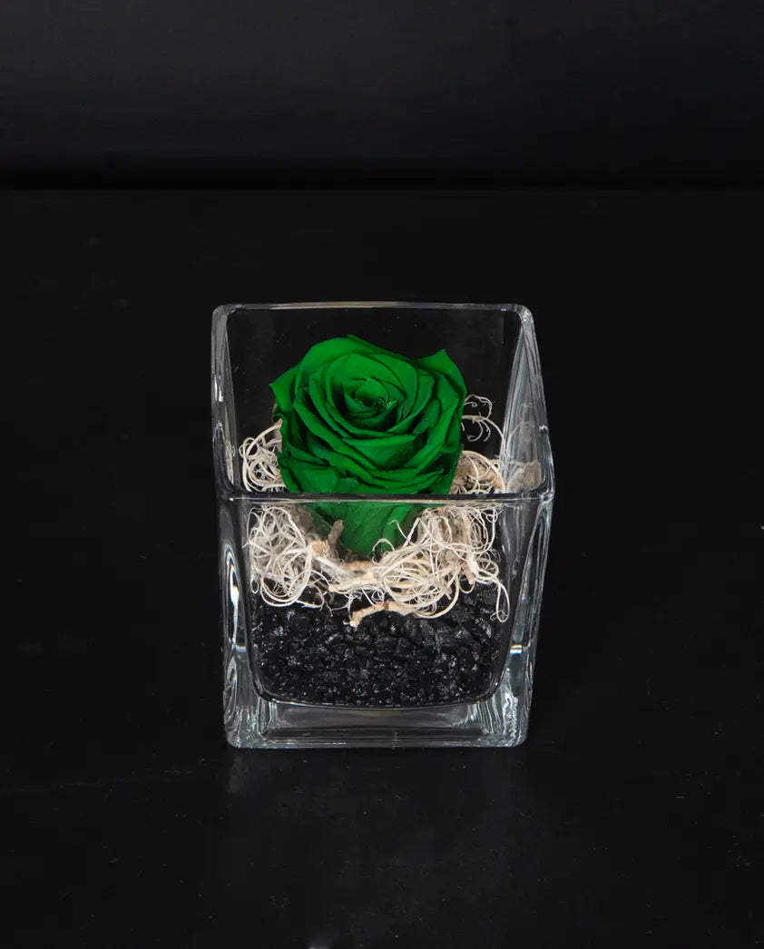 Forever Minimal -Green image 0