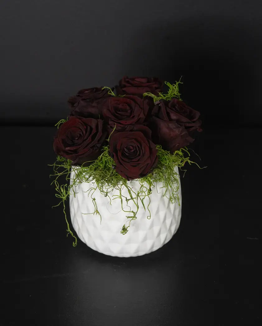 Forever Mod - Burgundy image 0