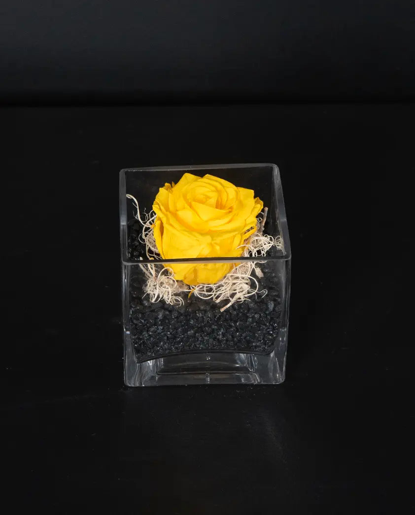 Forever Minimal - Yellow image 0