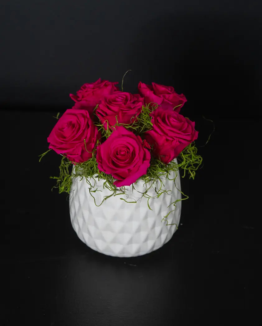 White textured vase with pink forever roses and greenery on a black background by bloombudz