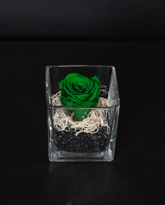Forever Minimal -Green image 0