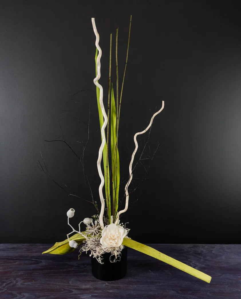Modern preserved floral arrangement from bloombudz in Paragould, AR