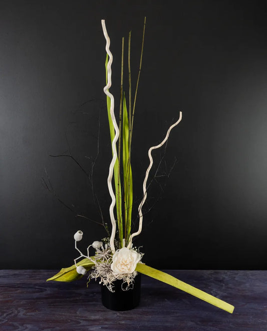 Modern preserved floral arrangement from bloombudz in Paragould, AR