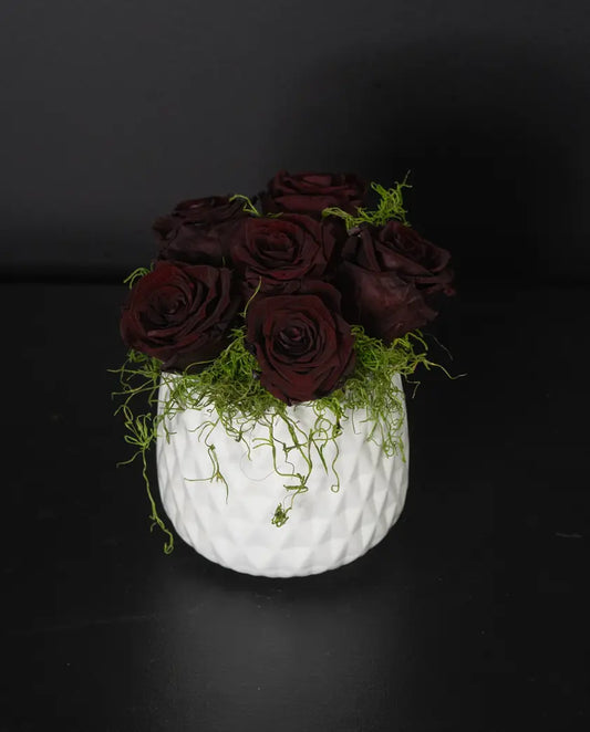 Forever Mod - Burgundy image 0