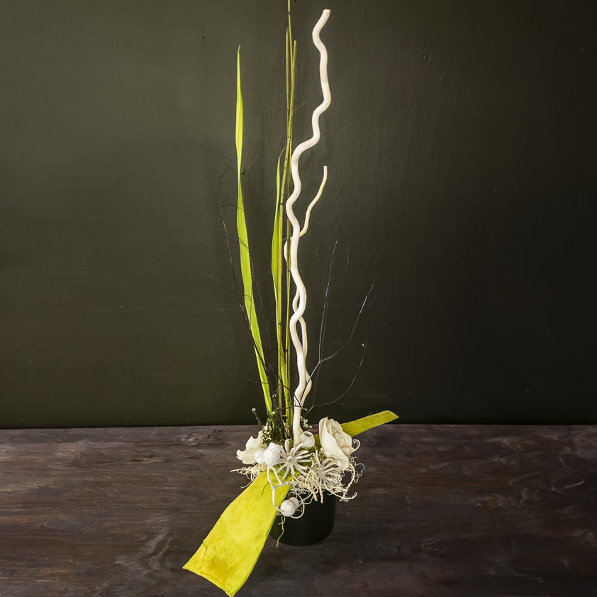 Modern preserved floral arrangement from bloombudz in Paragould, AR