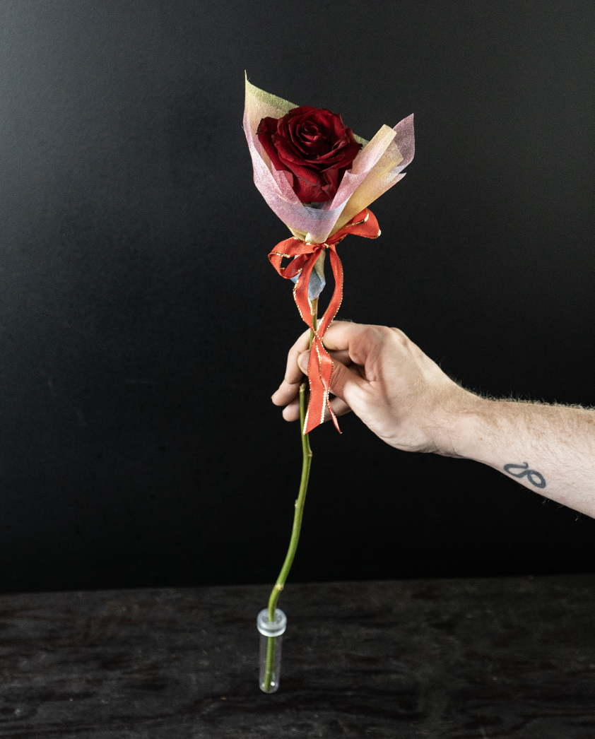 Ruby Slipper Rose